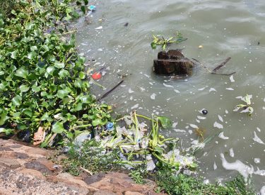 WhatsApp Image 2026-02-06 at 16.45.27