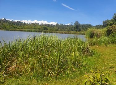 WhatsApp Image 2026-02-06 at 16.45.51 (1)