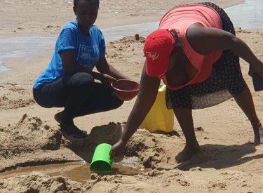 WhatsApp Image 2026-02-06 at 16.46.05